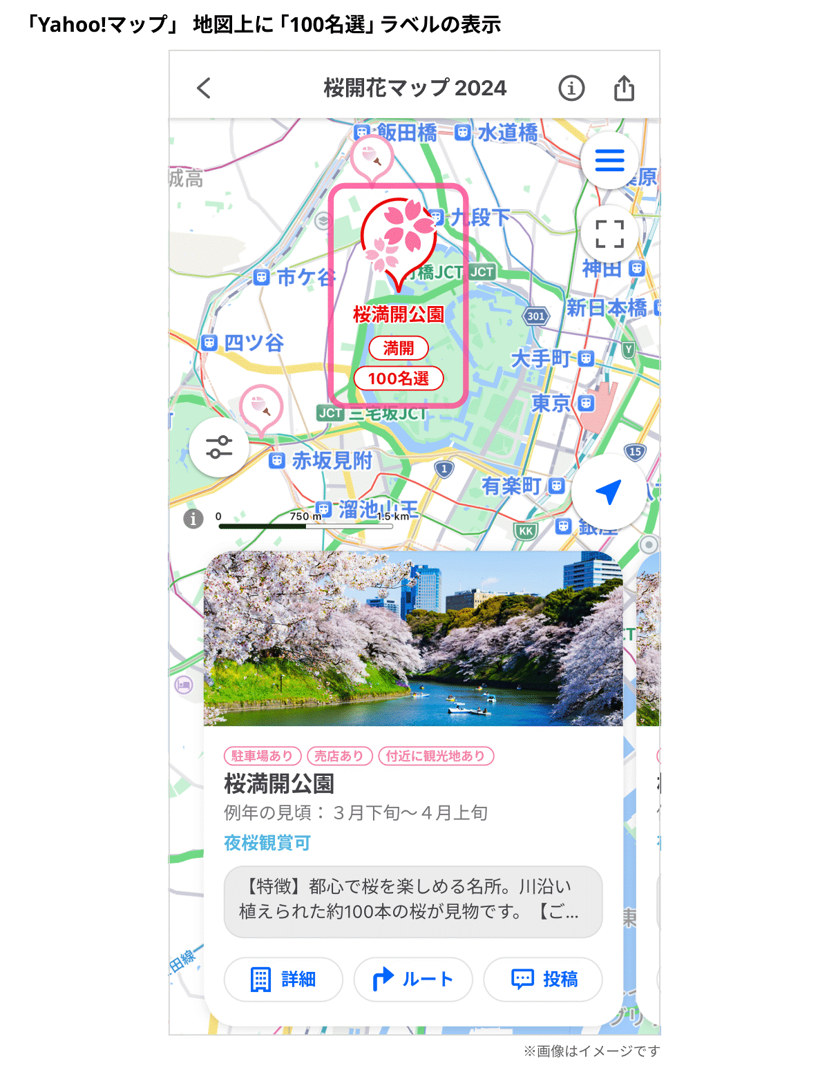 桜海 ※11月3日までにお届け Amazon.co.jp: 日本のお正月~春の海・さくらさくら~: ミュージック