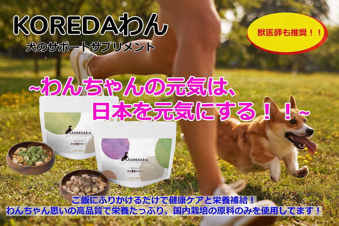 「KOREDAわん」