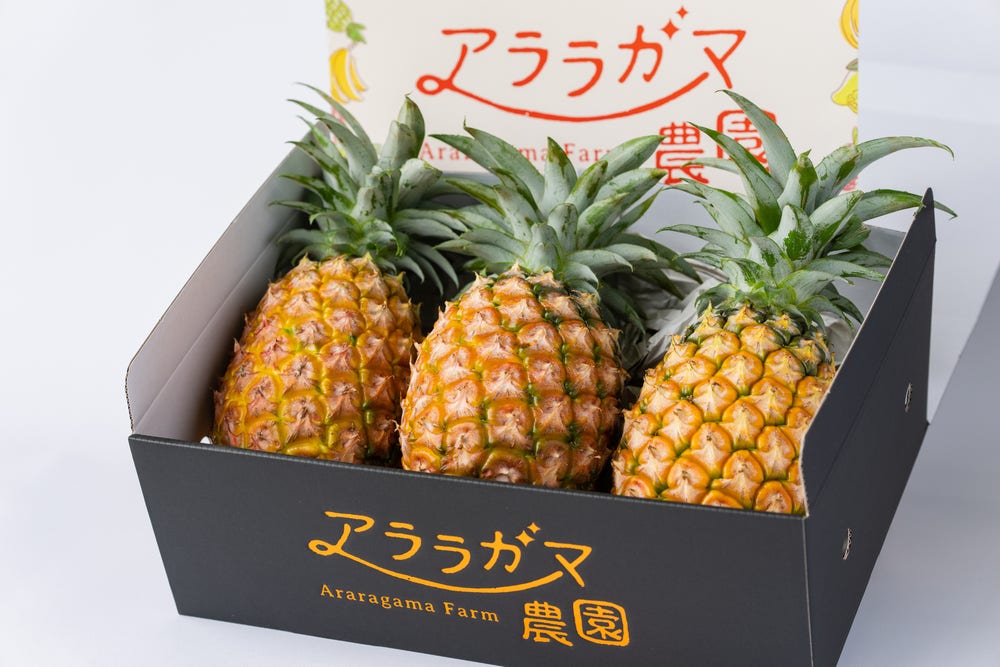 産地直送のピーチパインはギフトにも喜ばれる