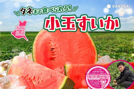 タネまで食べられる!小玉すいか いなみ農園さんの『ピノ・ガール』(茨城県産) タネまで食べられる!小玉すいか いなみ農園さんの『ピノ・ガール』(茨城県産)