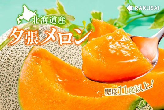 赤肉系メロンの王様『糖度11度以上!北海道産 夕張メロン』 赤肉系メロンの王様『糖度11度以上!北海道産 夕張メロン』