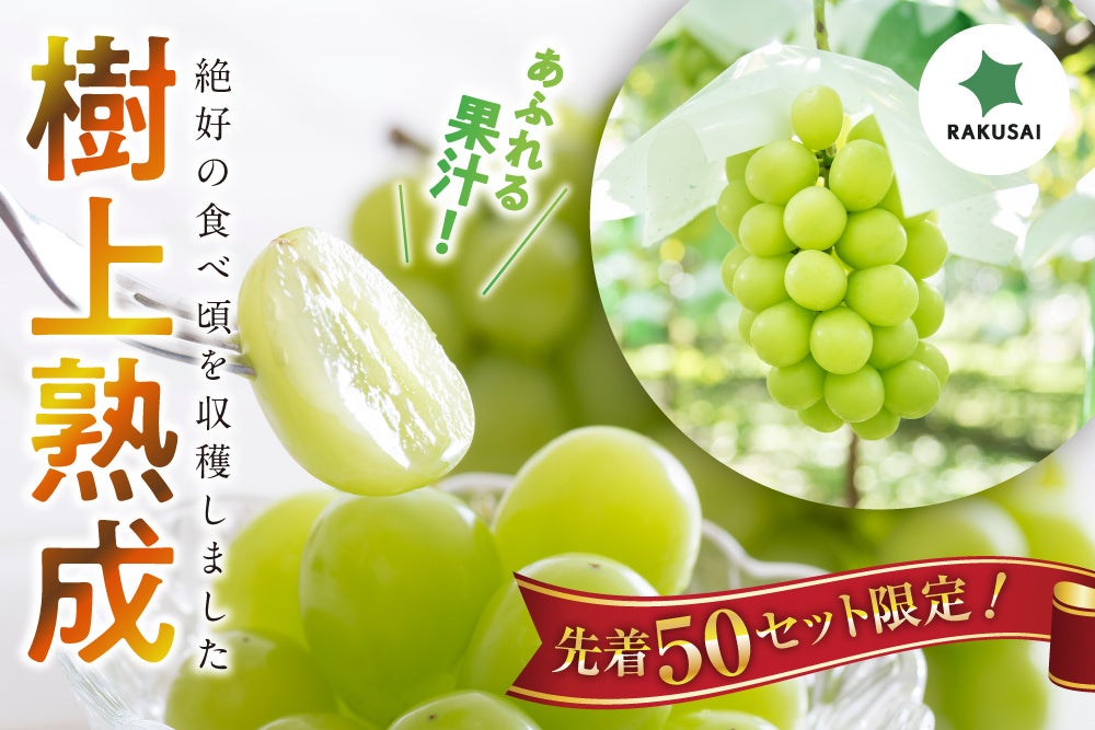 【九州・沖縄限定】サッポロ生ビール黒ラベル「沖縄環境保全応援デザイン」缶10月20日(火)数量限定発売