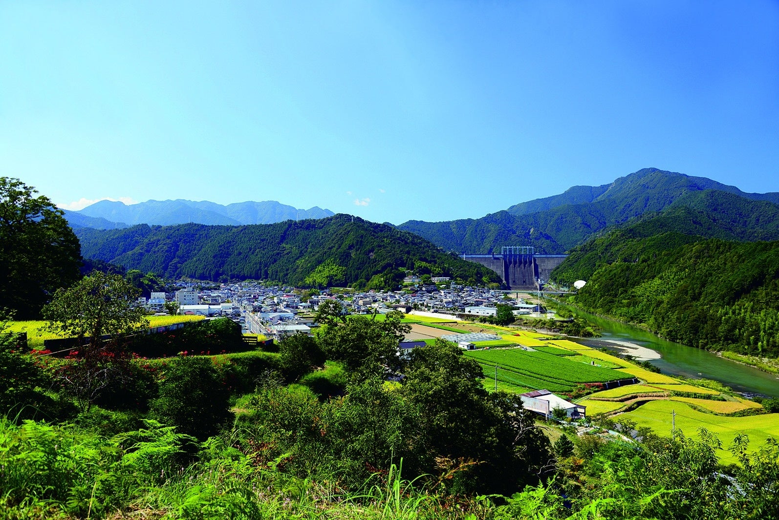 自然豊かな土佐町、奥には四国の水がめと呼ばれる早明浦ダムが見える
