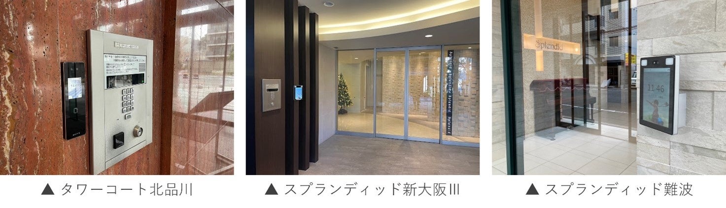 ロープラクティス　Law practice 商法攻略 ロープラクティス Law practice 商法攻略 - 本