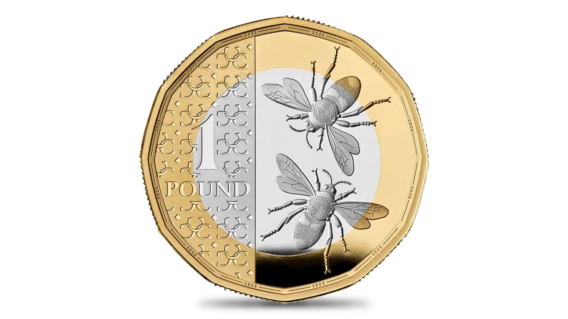 英国 イギリス ポンド ￡20 5枚です。宜しくお願いします イギリスポンド（GBP） - 外貨両替の『現金屋』