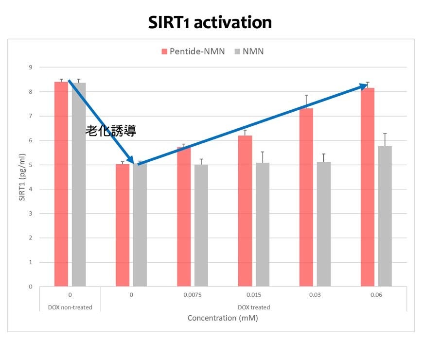 サーチュイン遺伝子の発現効果