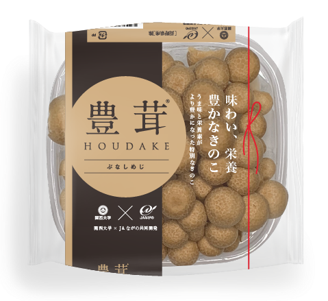 豊茸（HOUDAKE）／ぶなしめじ