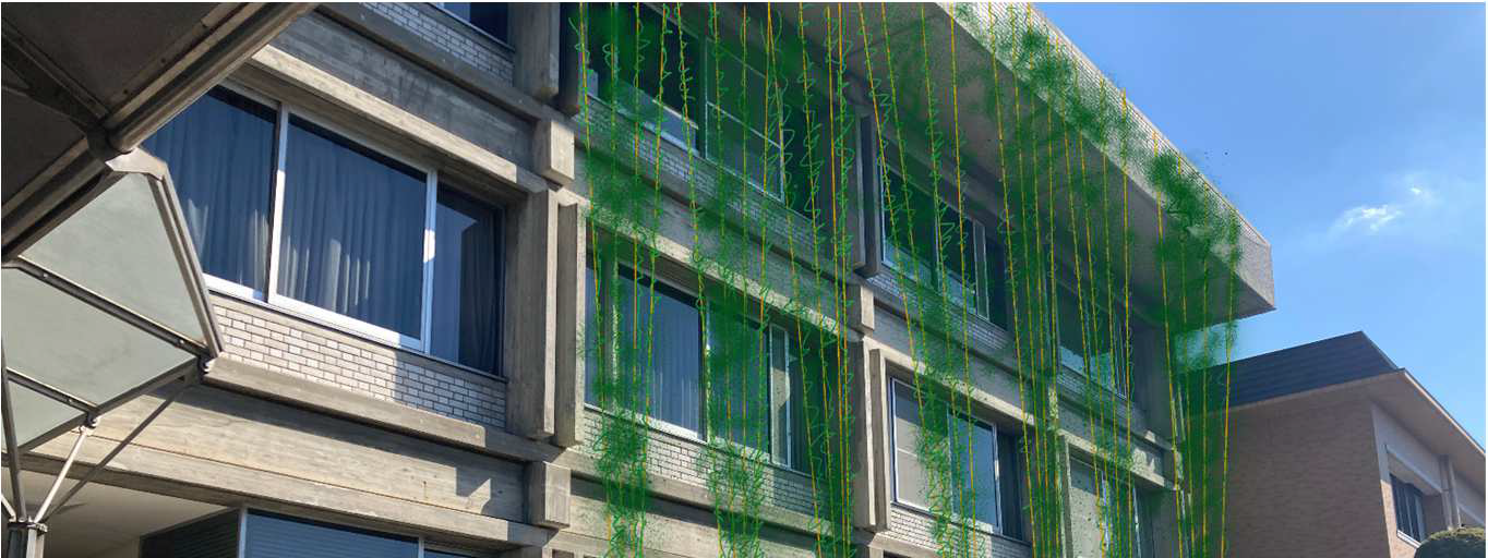 ホップ栽培のイメージ