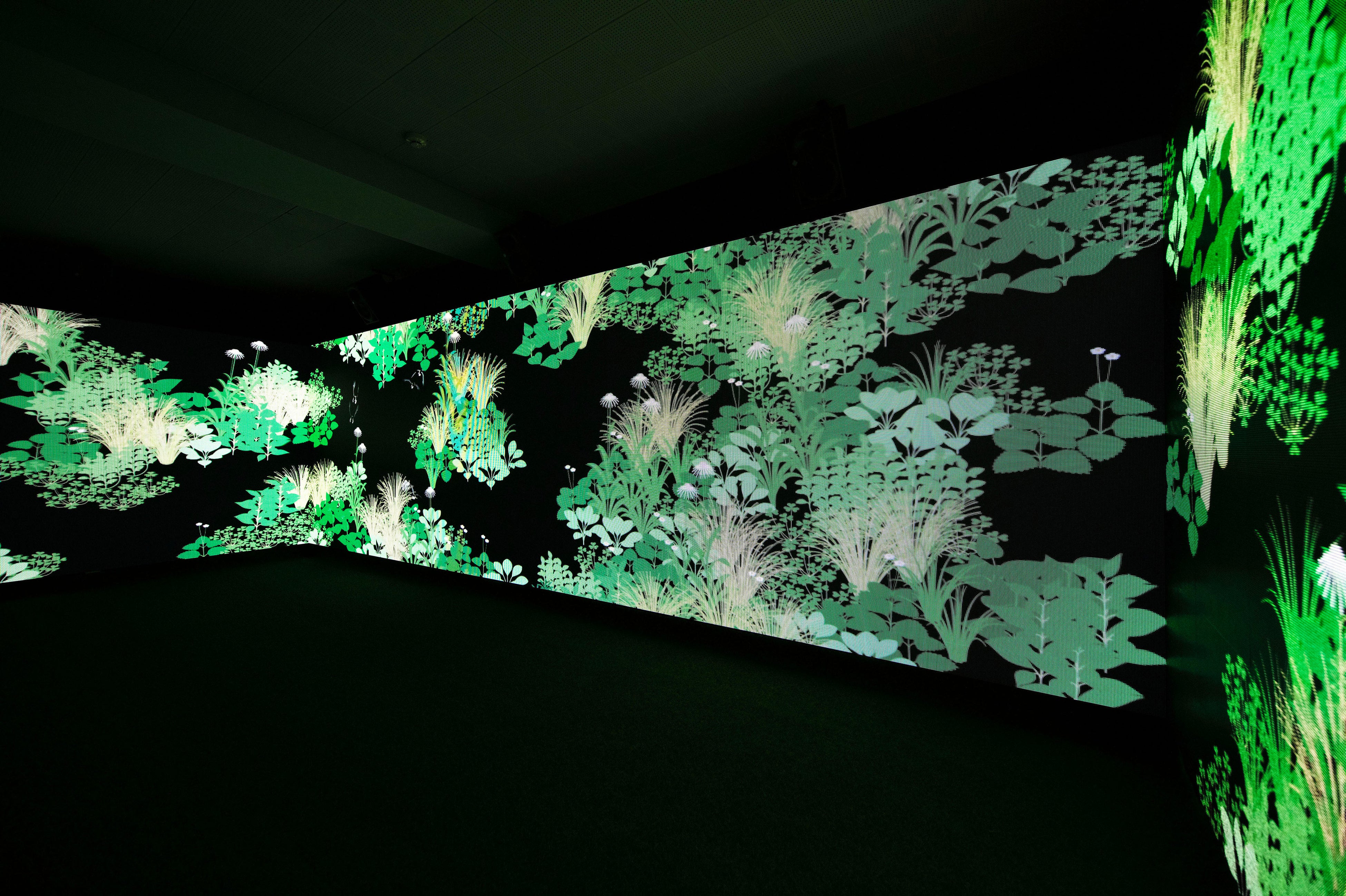 ≪TOO PURE≫ photo：Satoshi Nagare