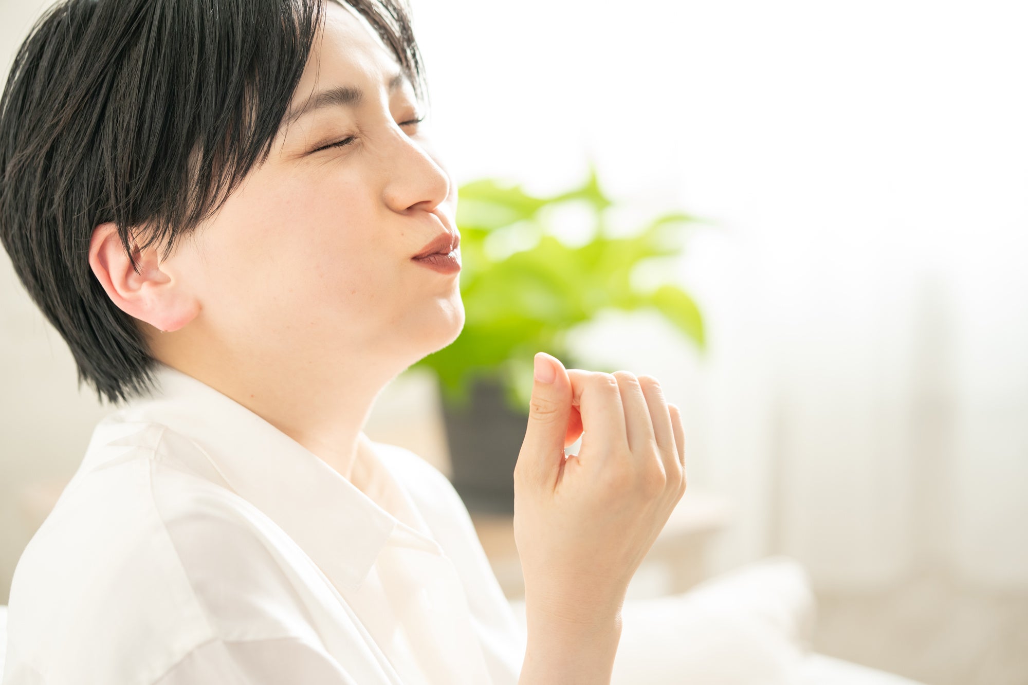 砂丘地が育む甘さと香り