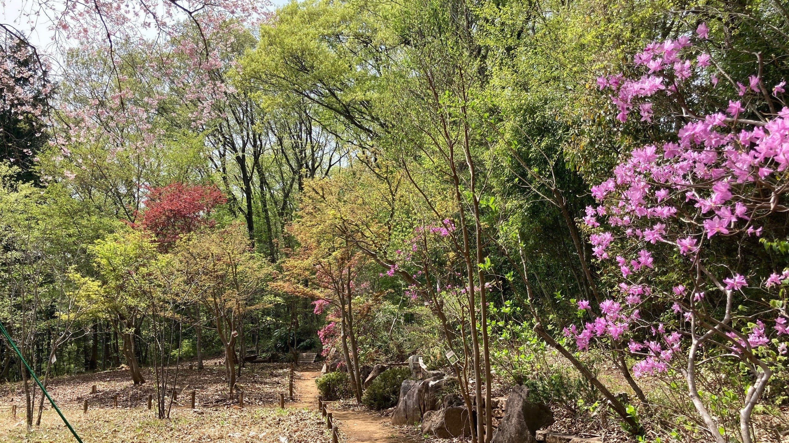 花暦区画（一部）と春の花