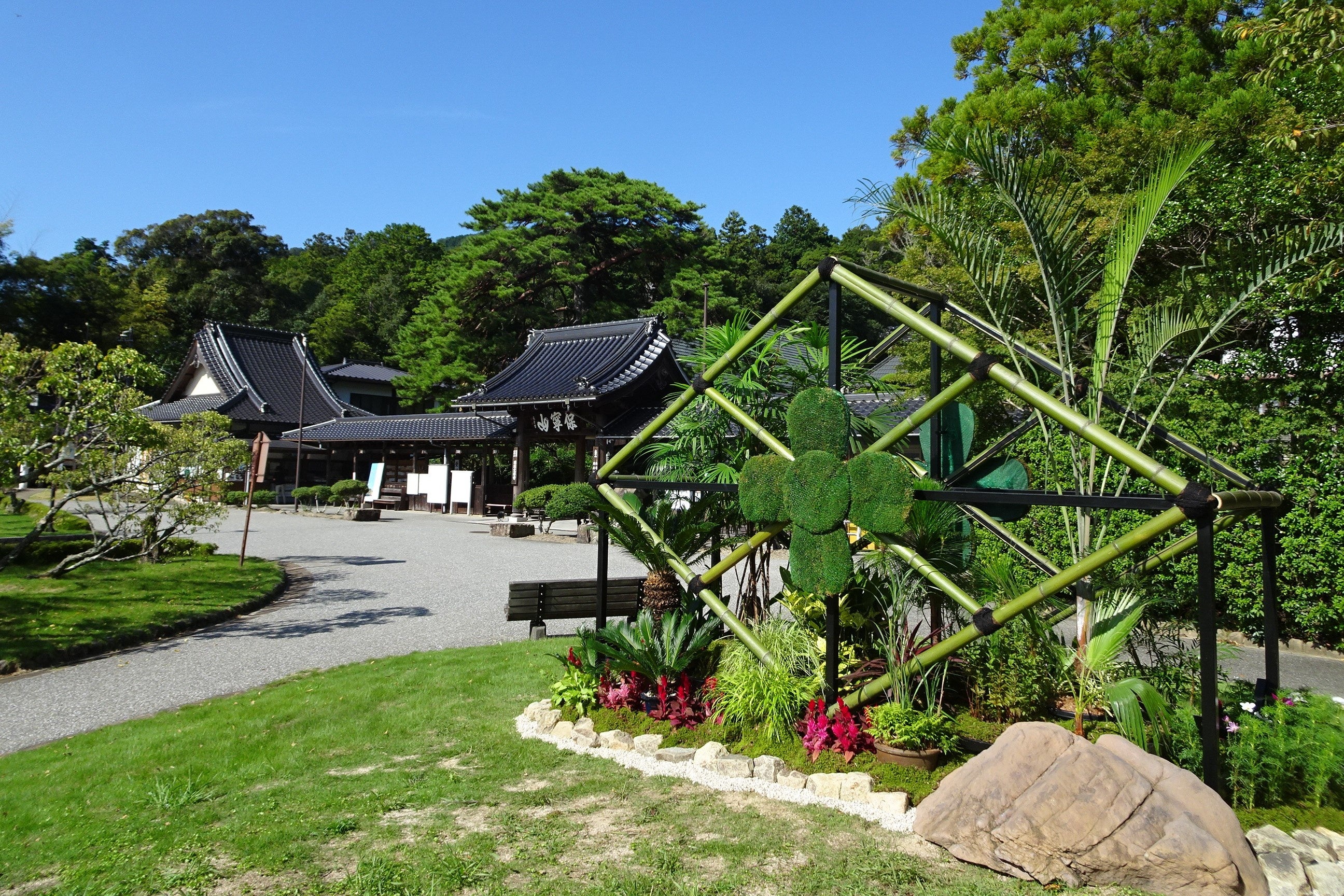 改装SP記念‼️✨お寺✨桜咲く✨瑠璃光寺✨五重の塔✨SPハイグレード