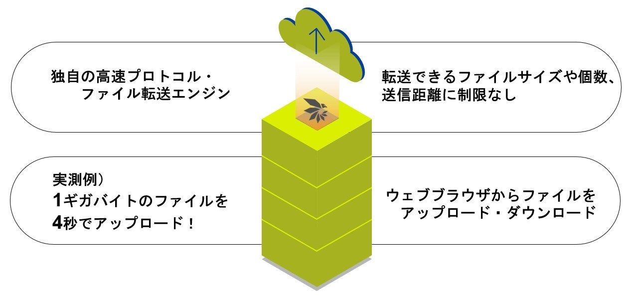 TREEDOM 【※次回発送5月6日】 ZX 2025年度 展開発表会 in ゼクストリーム2024WINTER 東京会場