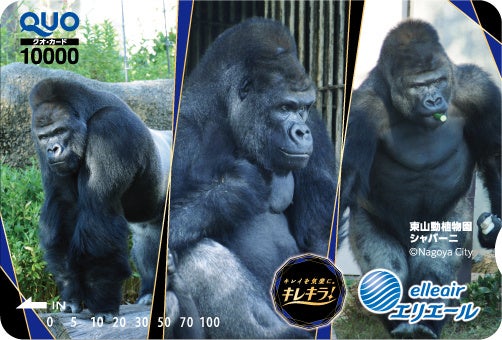 「シャバーニ」デザインQUOカード 1万円分