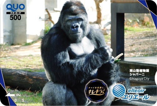 「シャバーニ」デザインQUOカード 500円分