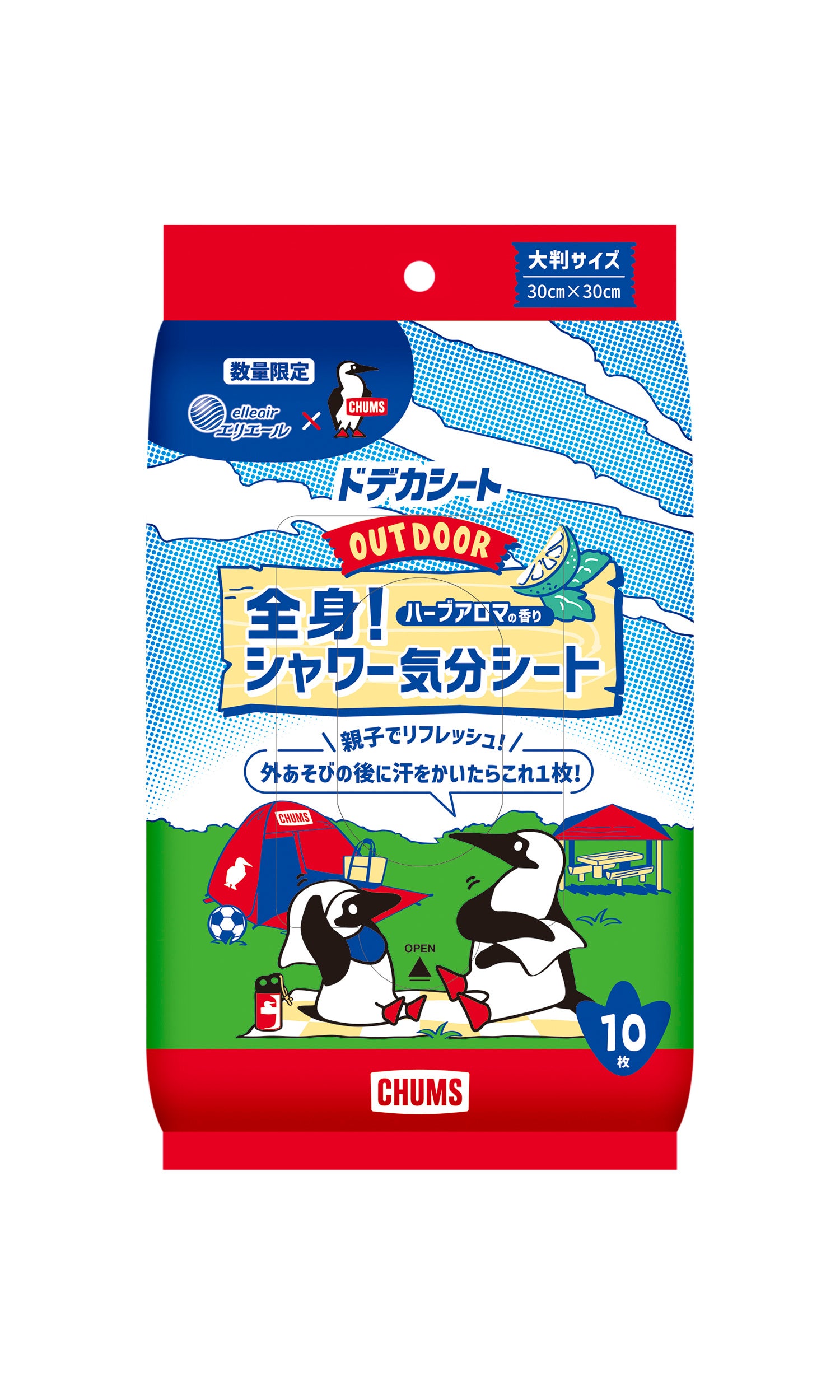 ドデカシート 全身シャワー気分シート 10枚