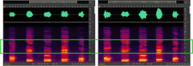 絢香の新曲『ずっとキミと』、5月29日配信開始!ペットとの特別なコミュニケーションに効果的なブランドソング 絢香の新曲『ずっとキミと』、5月29日配信開始!ペットとの特別なコミュニケーションに効果的なブランドソング