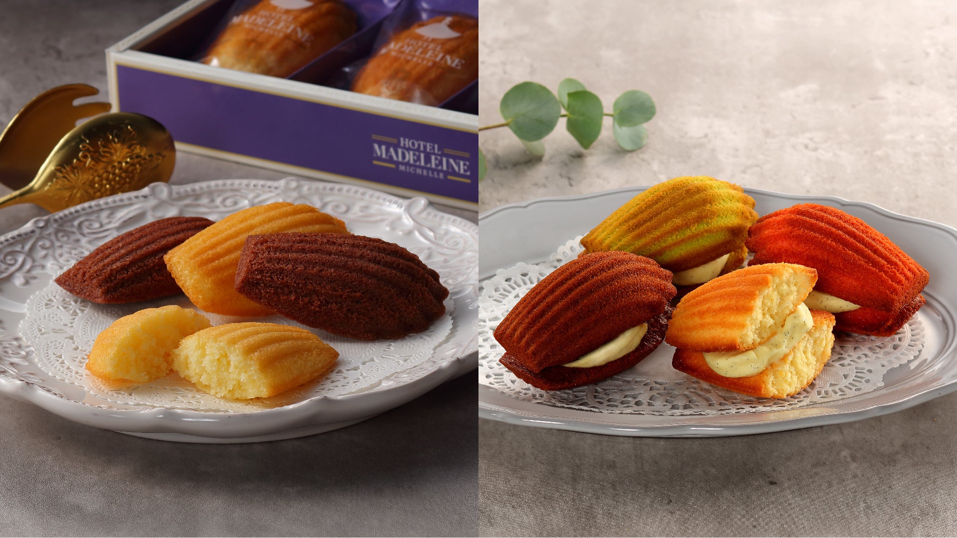 ホテルマドレーヌミシェルの2号店が大阪に上陸 | 株式会社ガトー