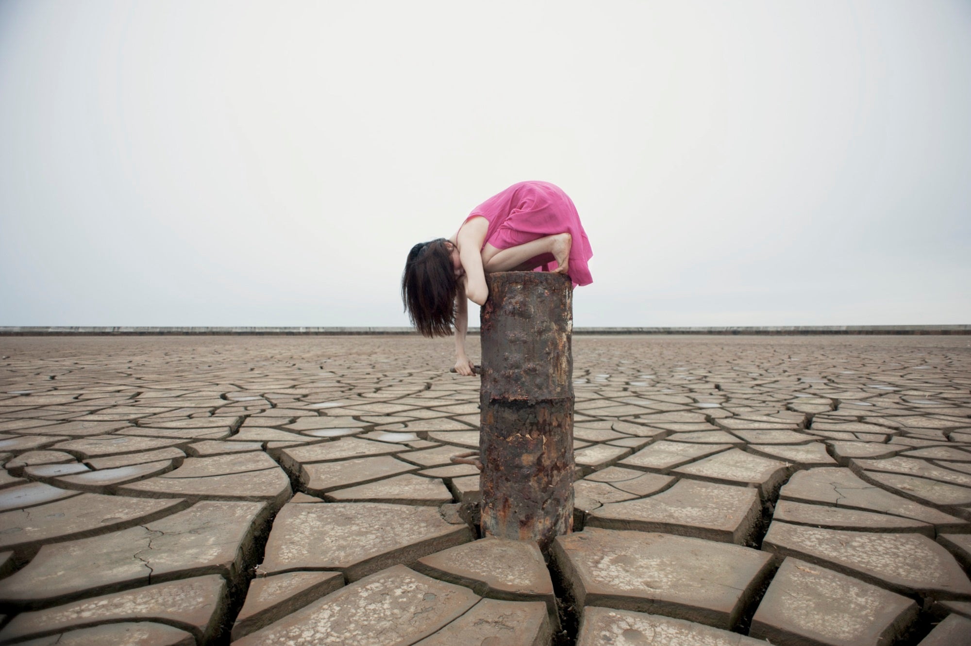 ここに咲く　©Rieko Honma