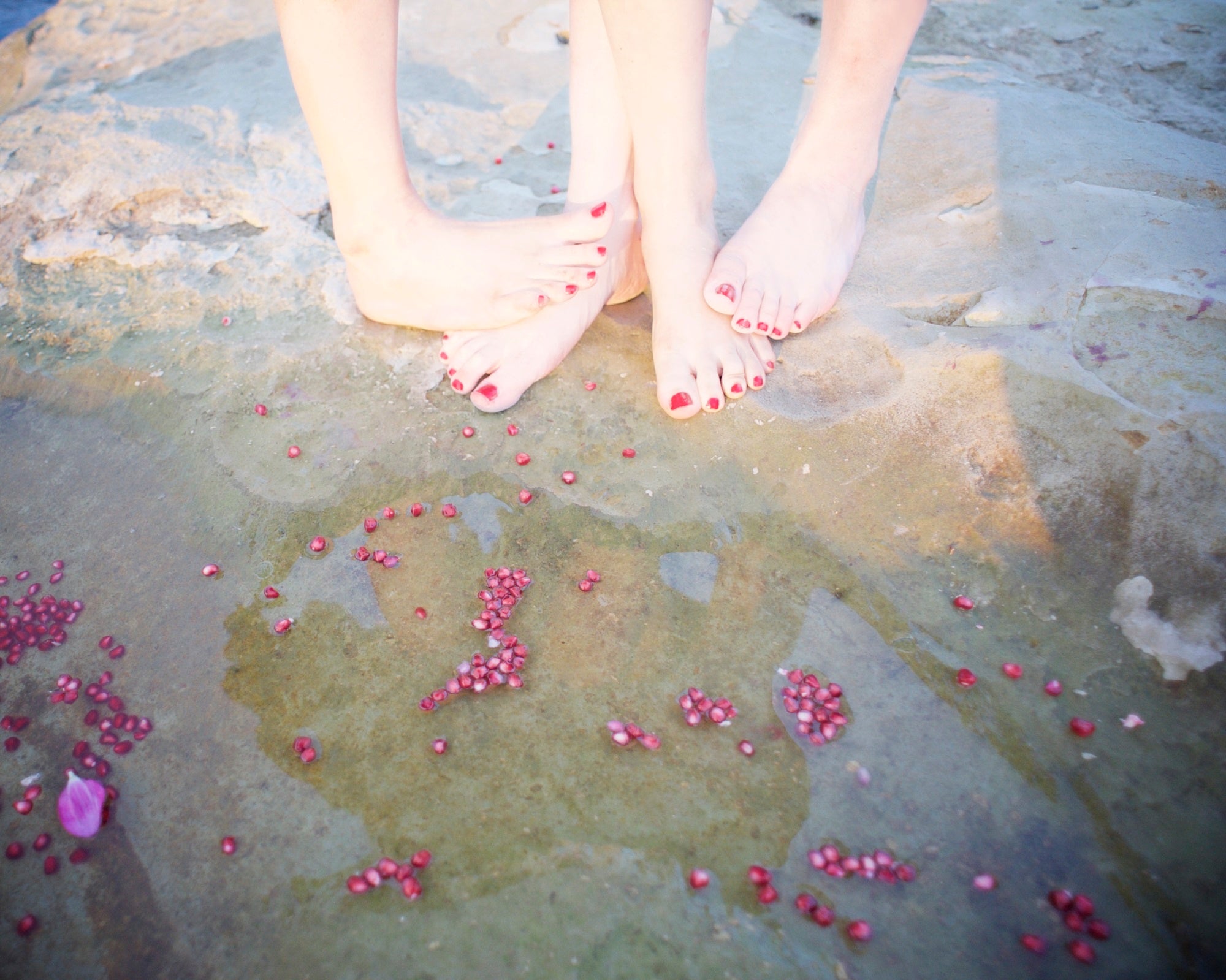 柘榴　© Rieko Honma