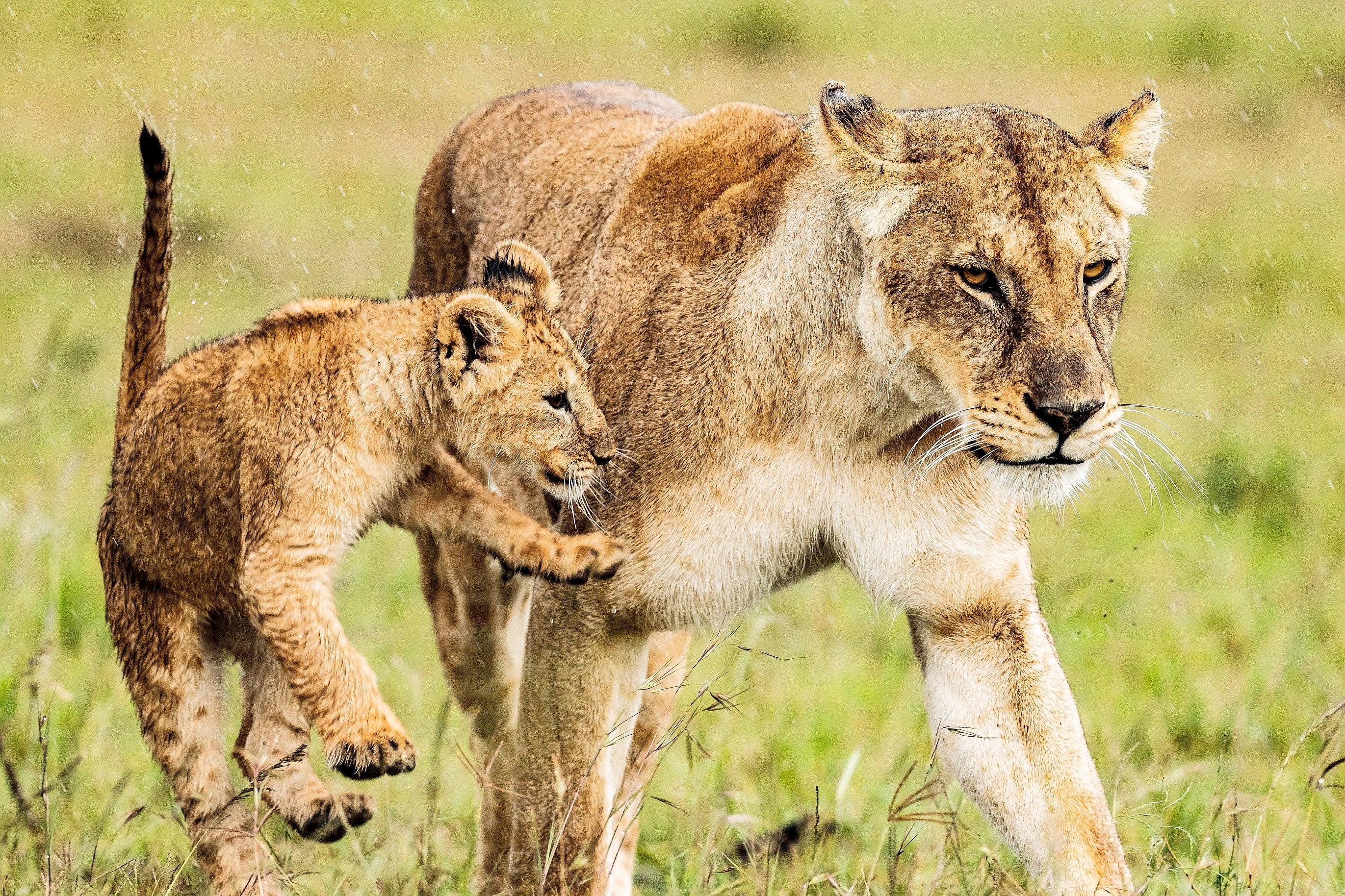写真：篠田岬輝