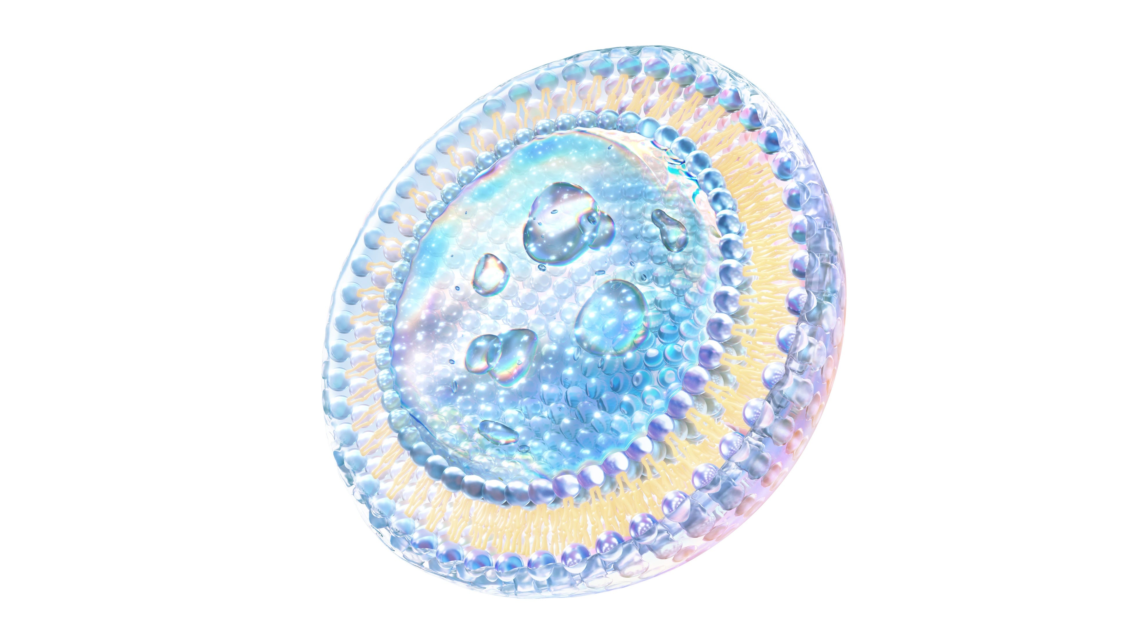 多様な成分を肌に届ける(※８) 独自の浸透型リポソーム(※1)（イメージ図）