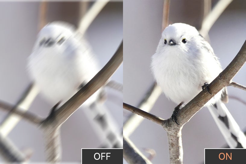 (防振性能のイメージ)