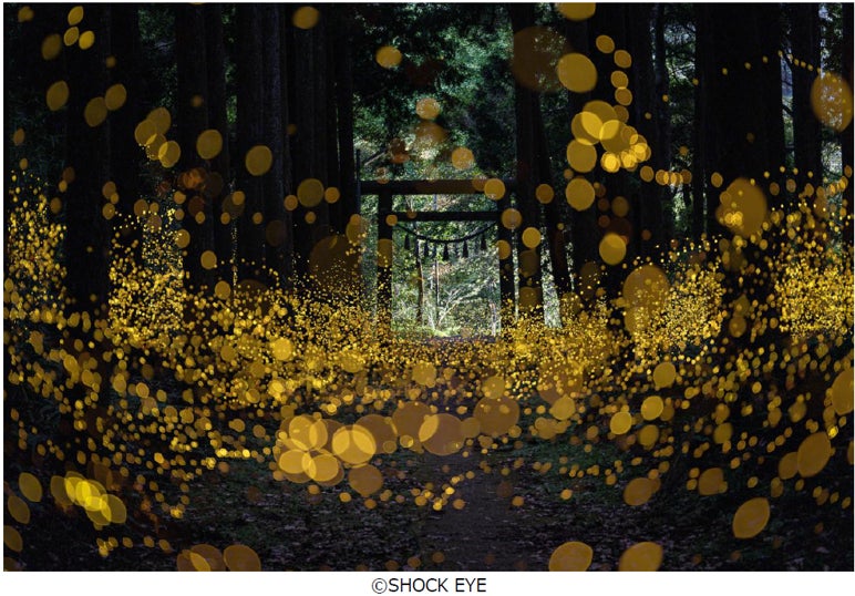 フジフイルム スクエア 企画写真展 SHOCK EYE写真展「和景讃歌 フジフイルム スクエア 企画写真展 SHOCK EYE写真展「和景讃歌