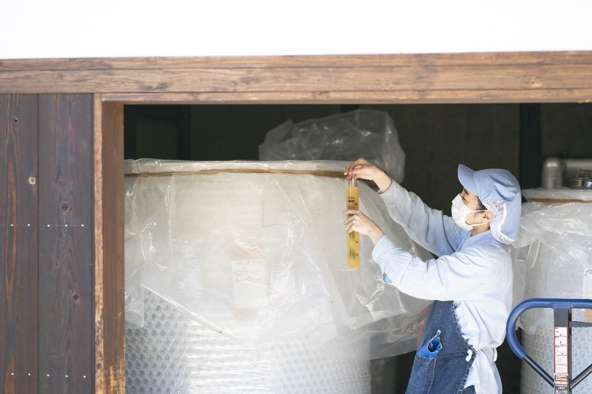 発酵状況の確認作業の様子