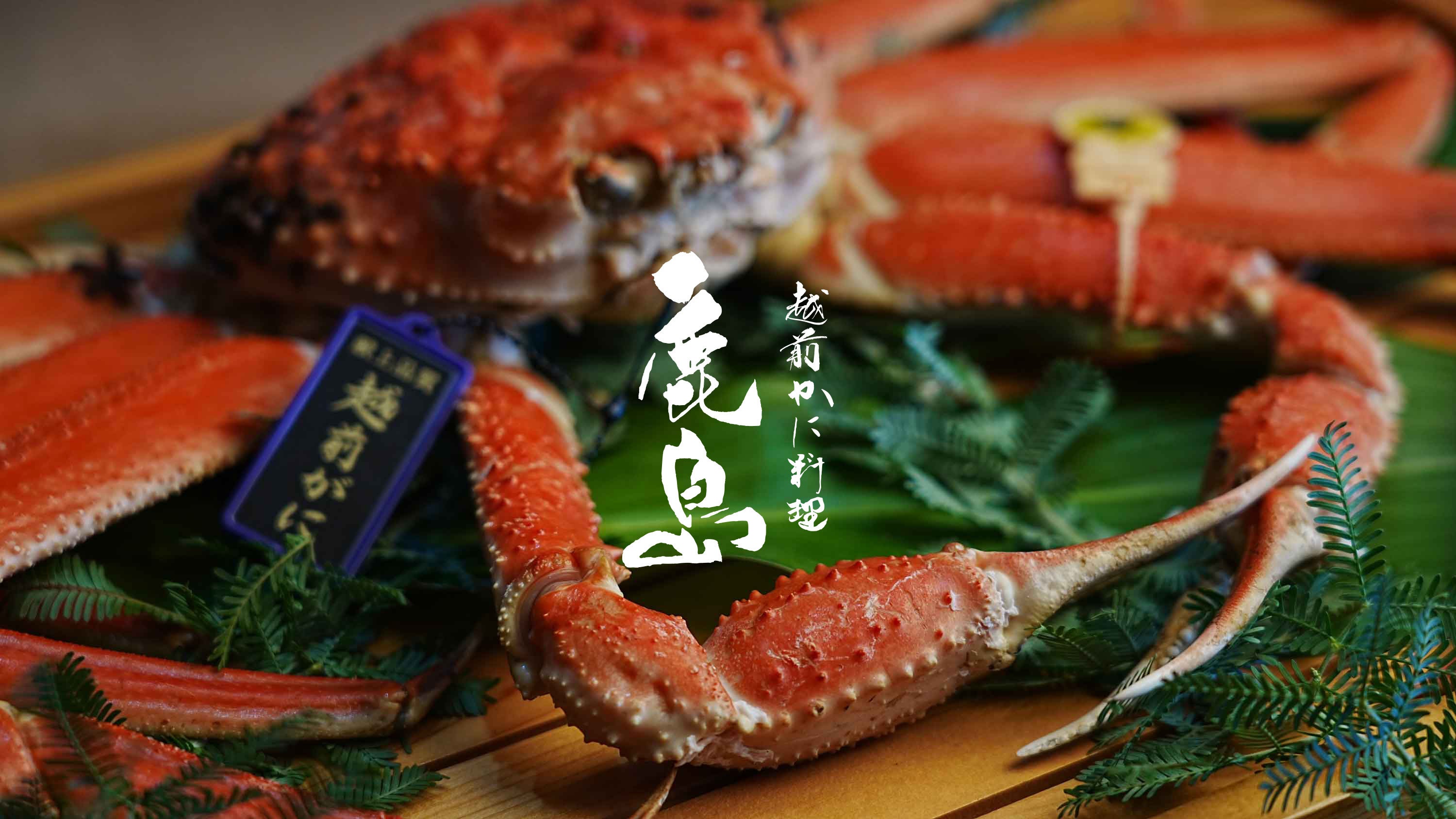 越前がに料理 鹿島