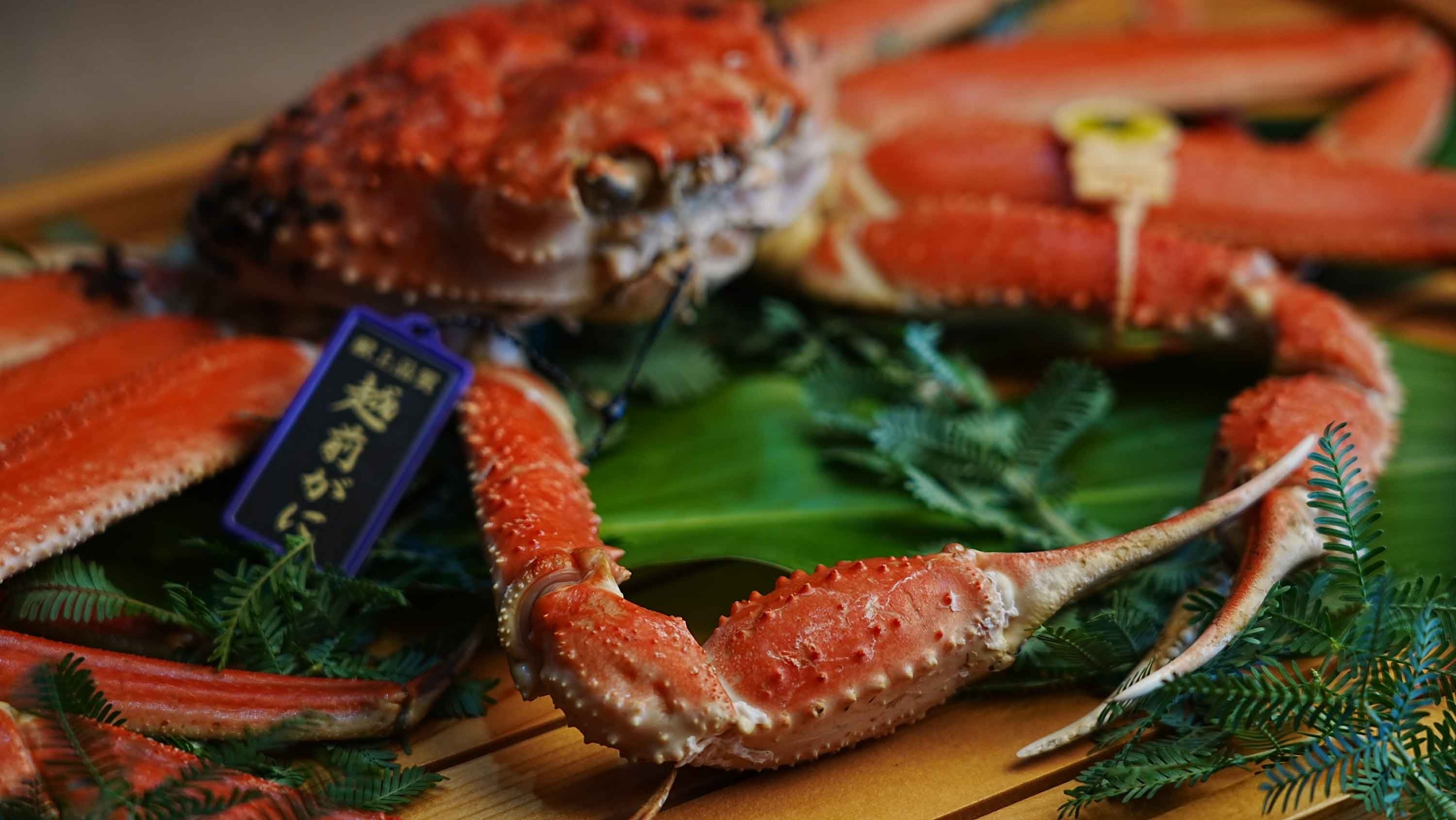 越前がに料理 鹿島