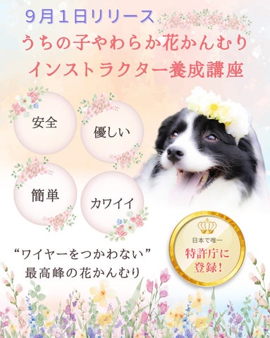 日本初!ワイヤーを使わない 安全・簡単・可愛い!特別な工法(意匠 日本初!ワイヤーを使わない 安全・簡単・可愛い!特別な工法(意匠
