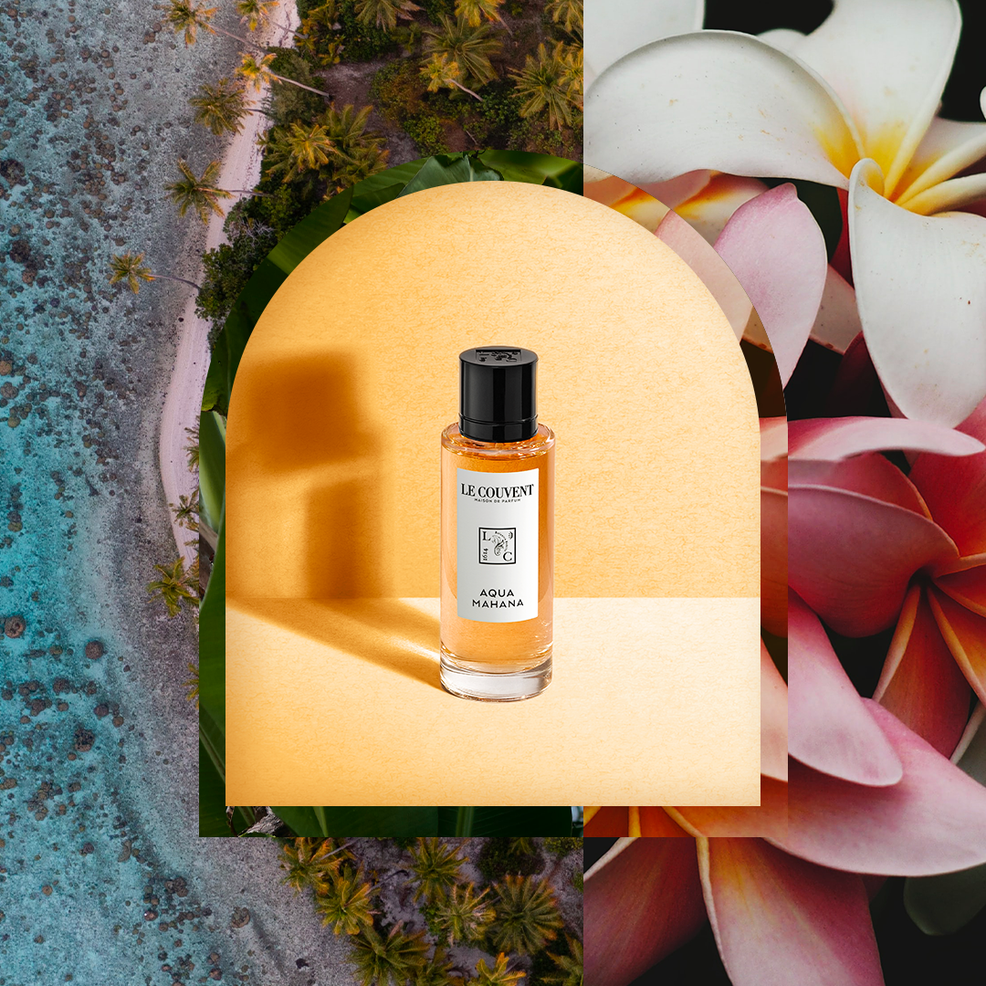 100 ヴィーガンのフレグランス コレクションが揃う ル クヴォン から 楽園へ誘う南国 の花 プルメリア を昇華させた新しい香りが到着 カインズ株式会社のプレスリリース