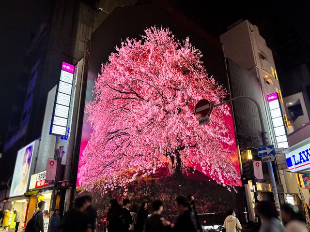 大阪ミナミの宗右衛門町に登場!高さ13mの“散らない”桜が話題の『MONSTER 3D VISION OSAKA』 大阪ミナミの宗右衛門町に登場!高さ13mの“散らない”桜が話題の『MONSTER 3D VISION OSAKA』