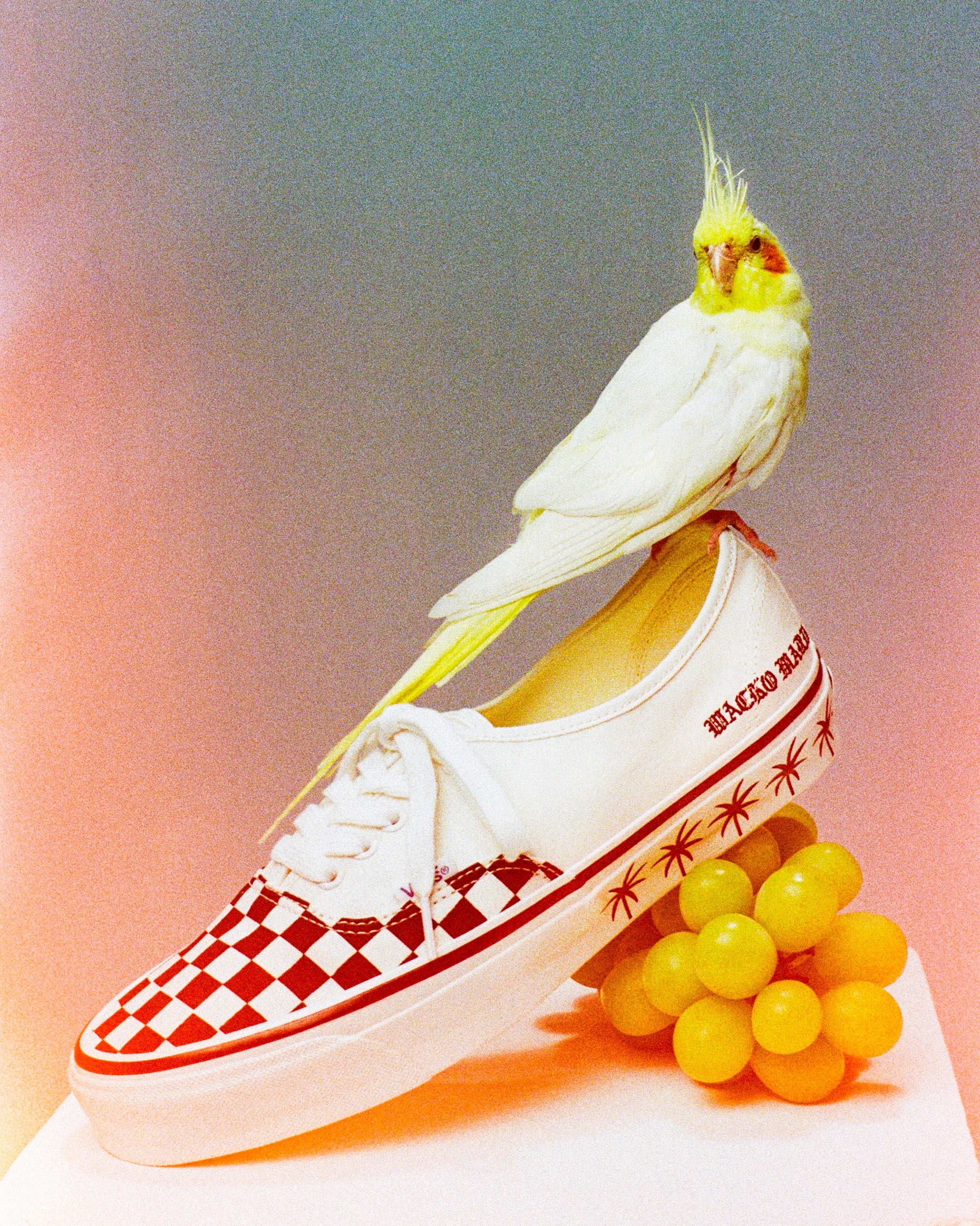 Vans x WACKO MARIA Premium Authentic WACKO MARIAの反骨精神を