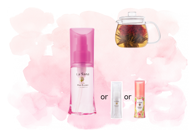 しっとり 母の日ギフト2023 