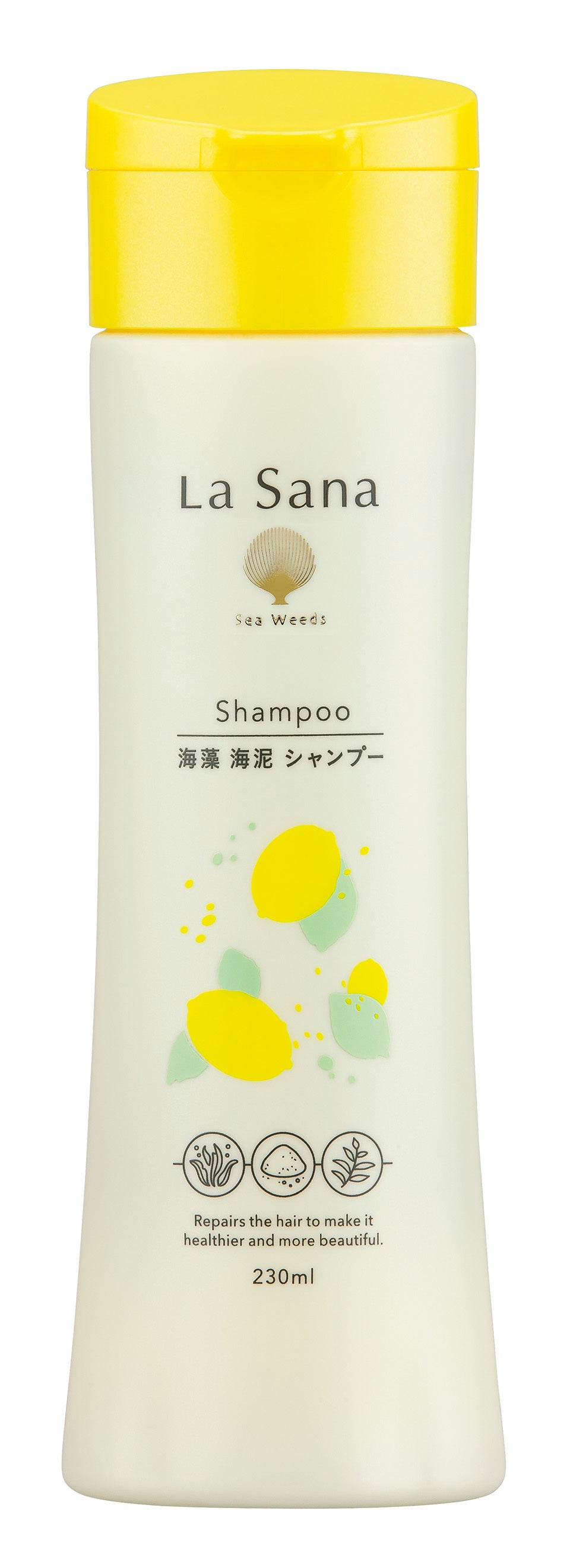 今年も帰ってきた！広島発の人気シリーズ きゅん！と甘酸っぱい