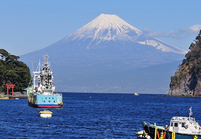 霊峰富士と駿河湾を望む