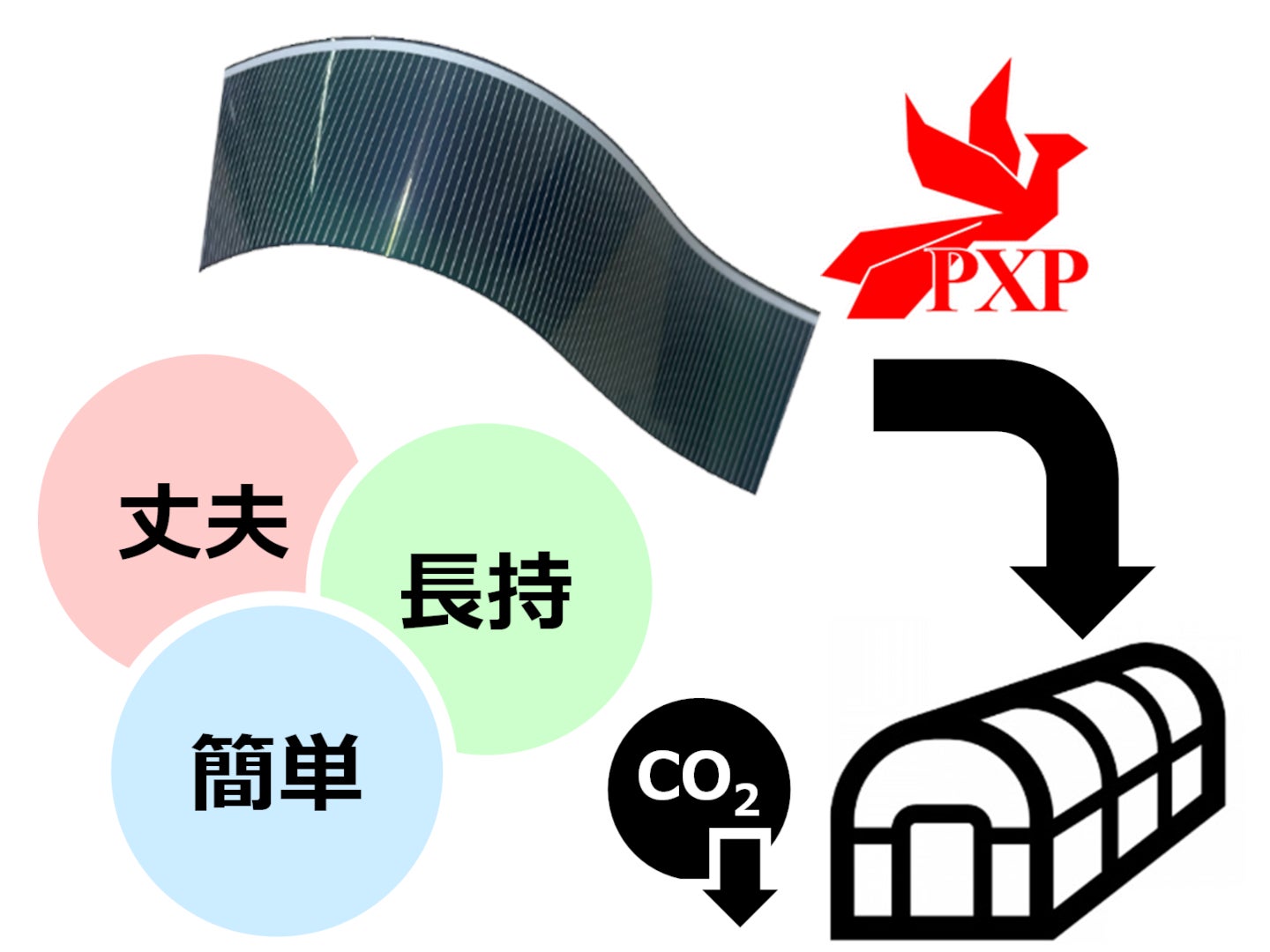 営農型「曲がる太陽電池」NEDO新エネ事業に採択 | 株式会社PXPのプレス 営農型「曲がる太陽電池」NEDO新エネ事業に採択 | 株式会社PXPのプレス