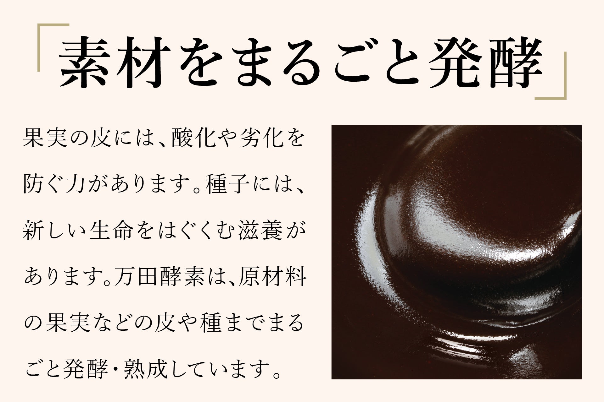 12/1新発売「万田酵素プラス温 発酵しょうが」。 累計出荷4,800