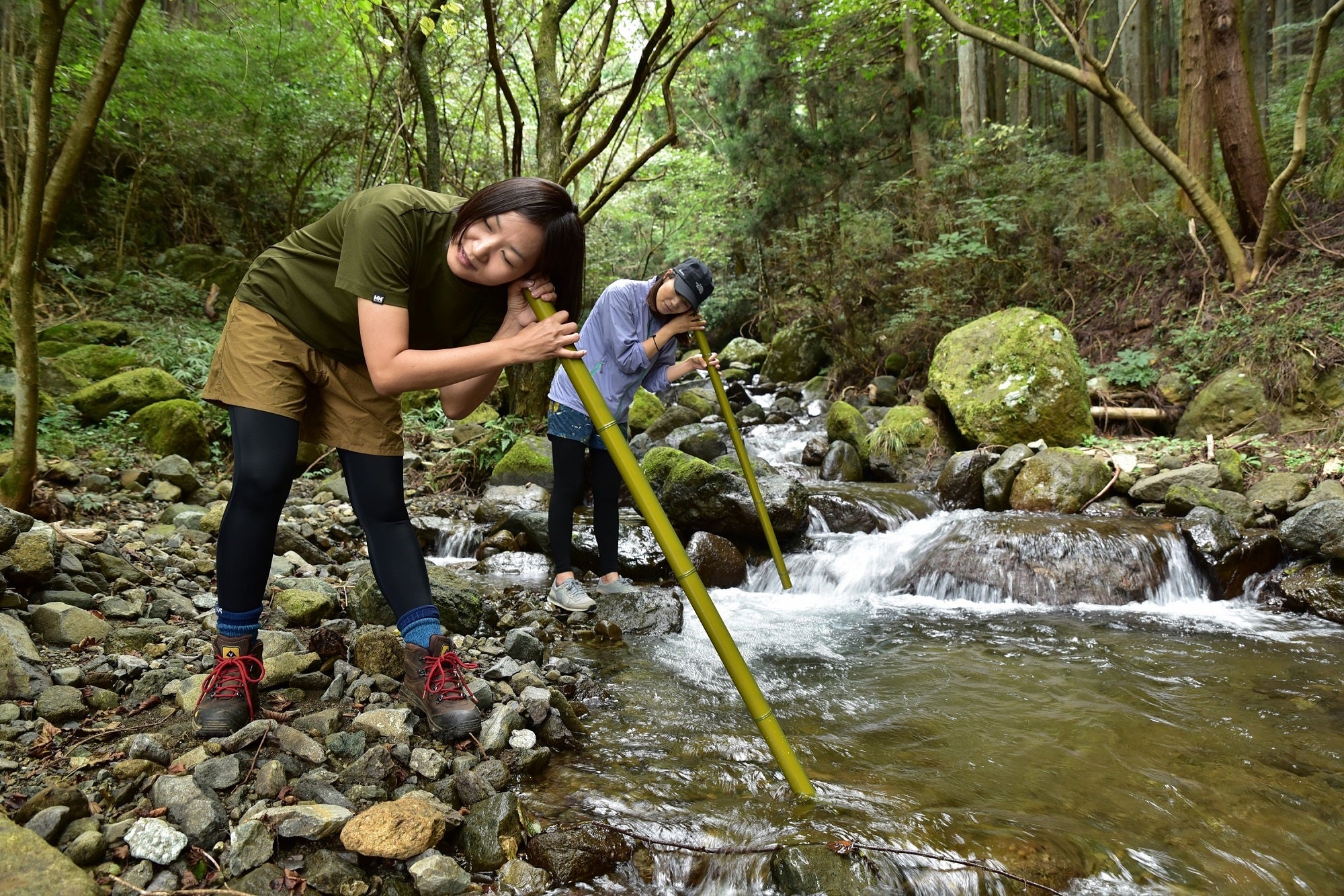 表丹沢の豊かな自然と名水にふれてリフレッシュできます