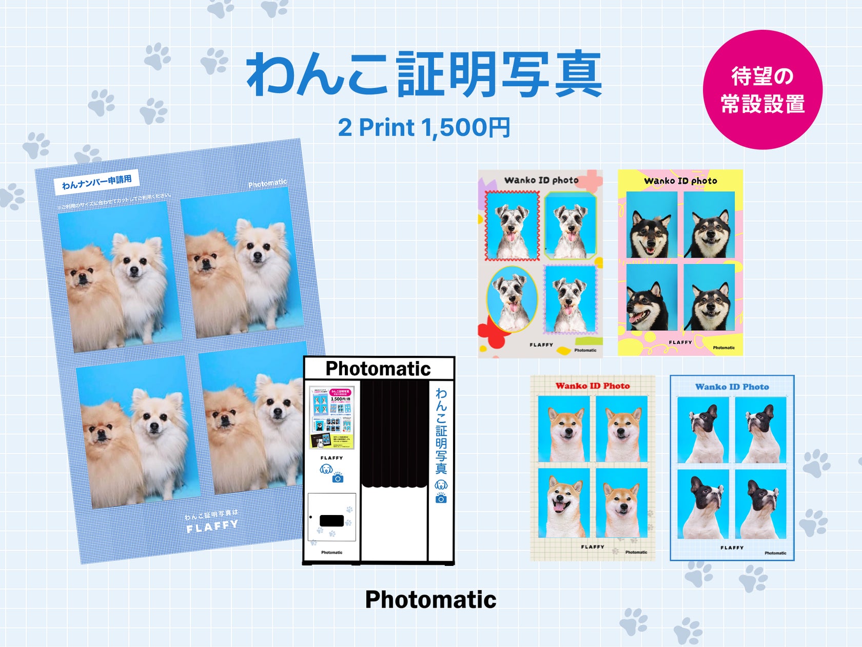 HOT DOG TOWN Ariakeに「わんこ証明写真」が撮影できるセルフフォト HOT DOG TOWN Ariakeに「わんこ証明写真」が撮影できるセルフフォト