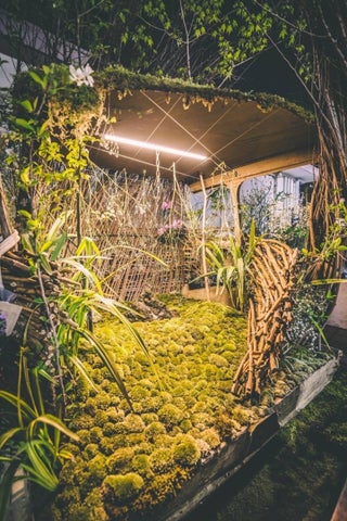 天空の坪庭6: 2024年 静岡駅ビルパルシェで開催 天空の坪庭6: 2024年 静岡駅ビルパルシェで開催