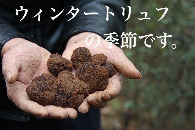 世界三大珍味!!「トリュフ100g」（2～3cm）エクストラ/上級ランク、チベット産 ヒマラヤ黒トリュフ100g （特大サイズ5-7cm) ⑤ ウィンター黒トリュフ