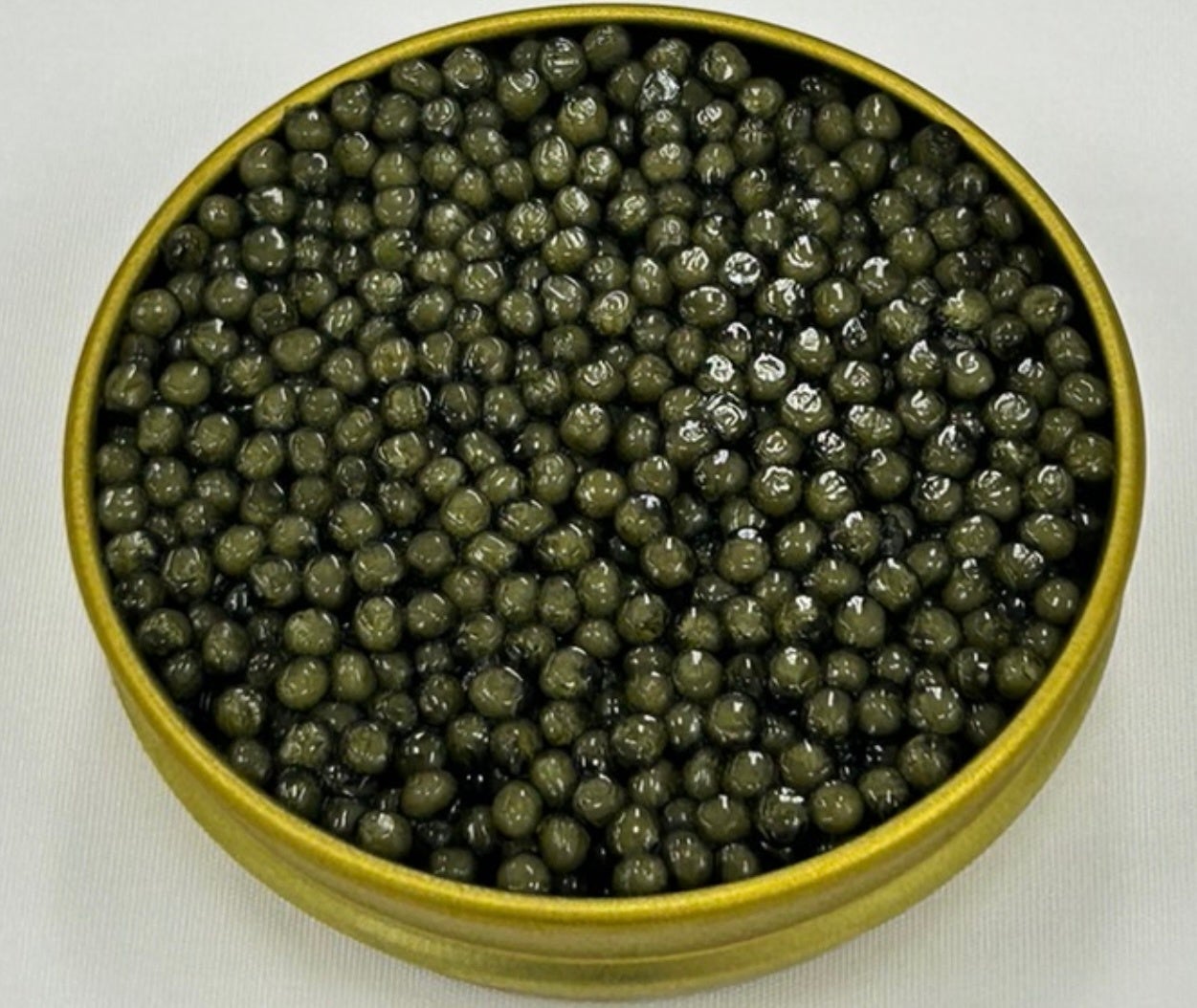 RODEO CROWNS WIDE BOWL | モールエンボスロゴニットトップス