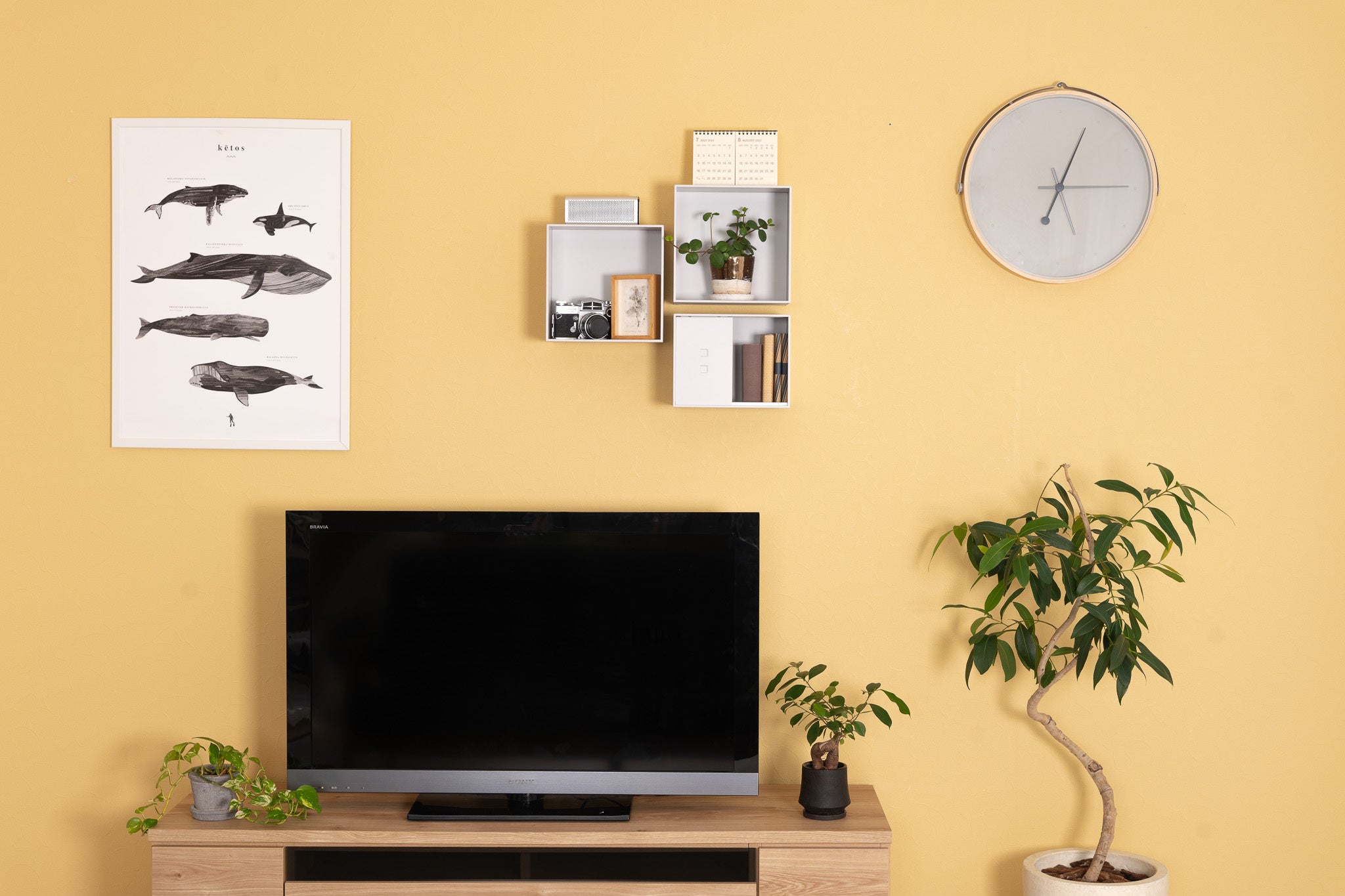 テレビ周りの空いている壁に