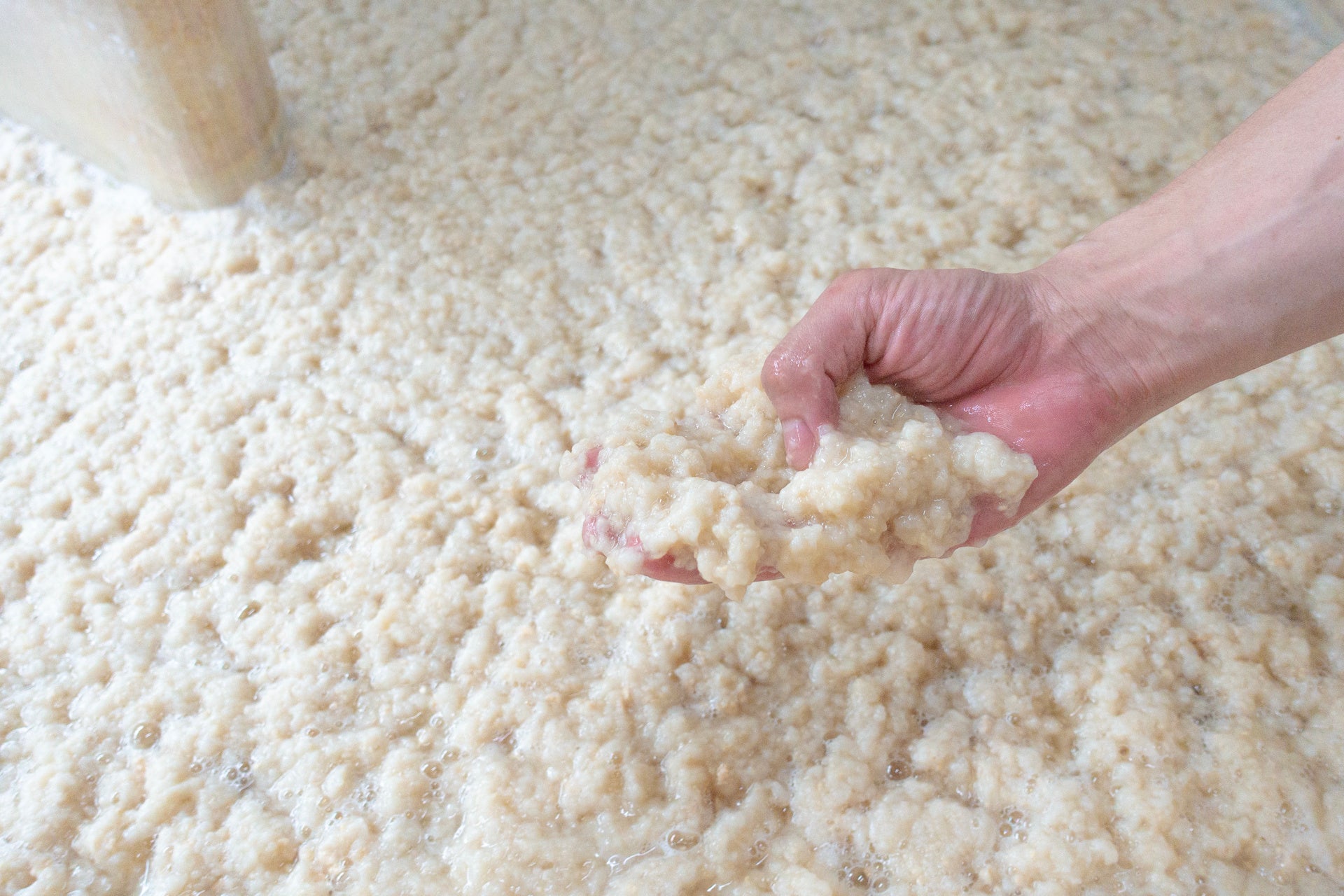 廃棄木材由来のオフカットパルプ