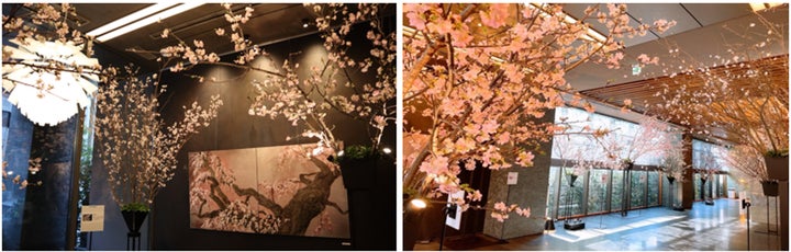 世界的花人・赤井勝氏プロデュース さくら祭り!東京で5日間限定開催 世界的花人・赤井勝氏プロデュース さくら祭り!東京で5日間限定開催