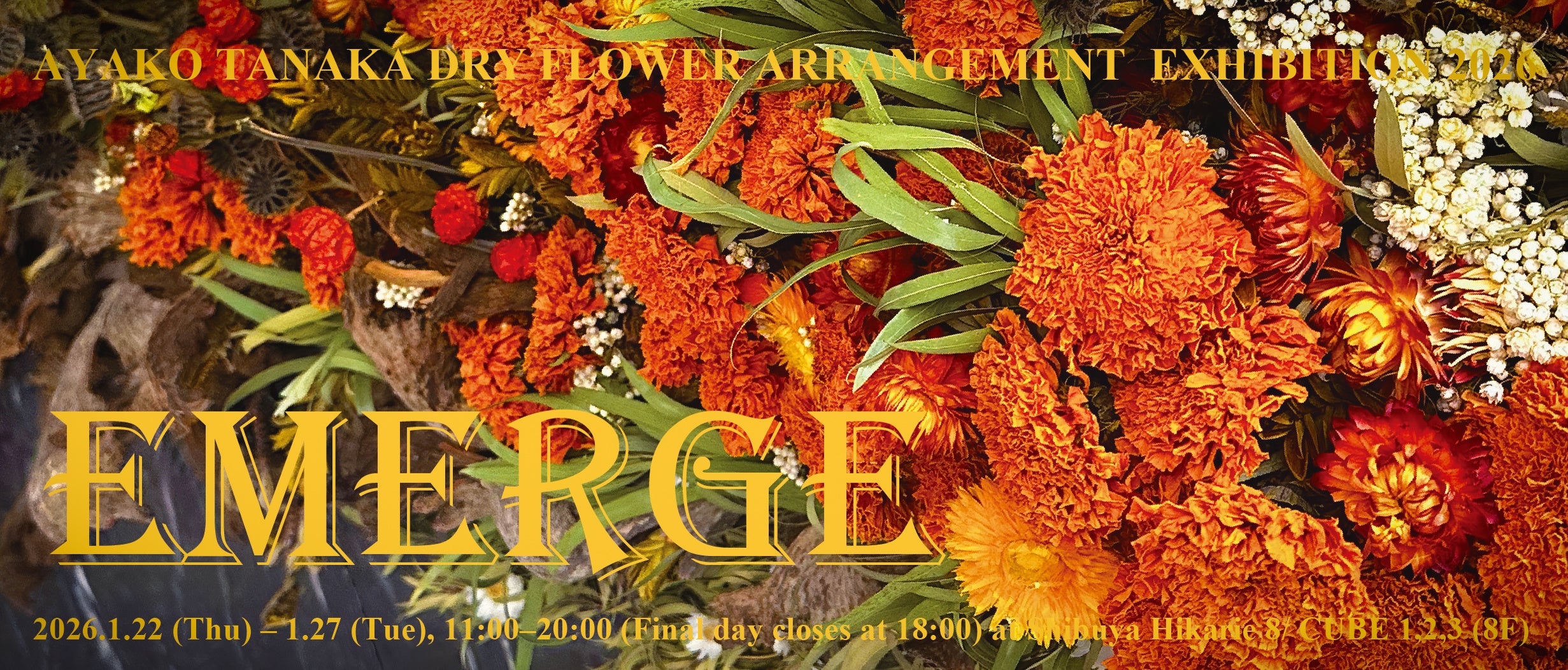 渋谷ヒカリエ8/CUBE 1,2,3で開催｜花のアート「EMERGE（エマージ）」展｜アヤコタナカドライフラワーアレンジメント