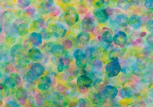 肥後　深雪「まる」